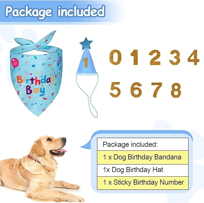 Dog Boy Girl Birthday Party Hat, Dog Birthday Party Supplies, Birthday Bandana - Image 4