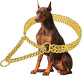 Stainless Steel 18K Gold Dog Chain Collar by KINGOLDOS