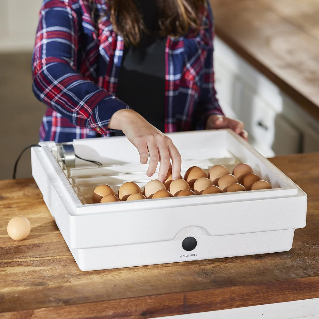 Farm Innovators 3200 Automatic Egg Turner for Incubators, 41 Eggs