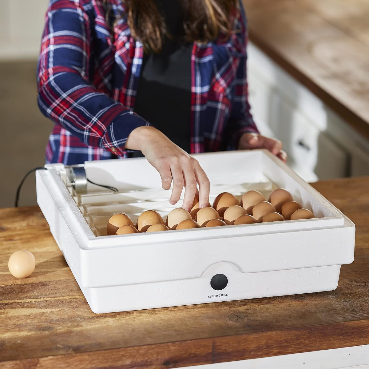 Farm Innovators 3200 Automatic Egg Turner for Incubators, 41 Eggs