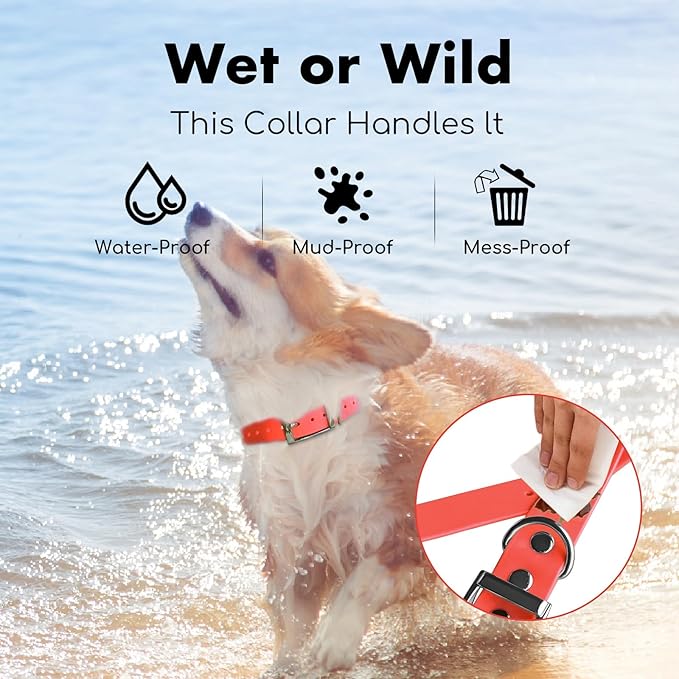 4.2FT Dog Collar and Leash Set, PVC Waterproof Adjustable Odor Proof Pet - Image 5
