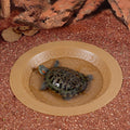 Turtle Bathing Pool Small, Resin Water Dish Feeding Bowl with Gentle Slope