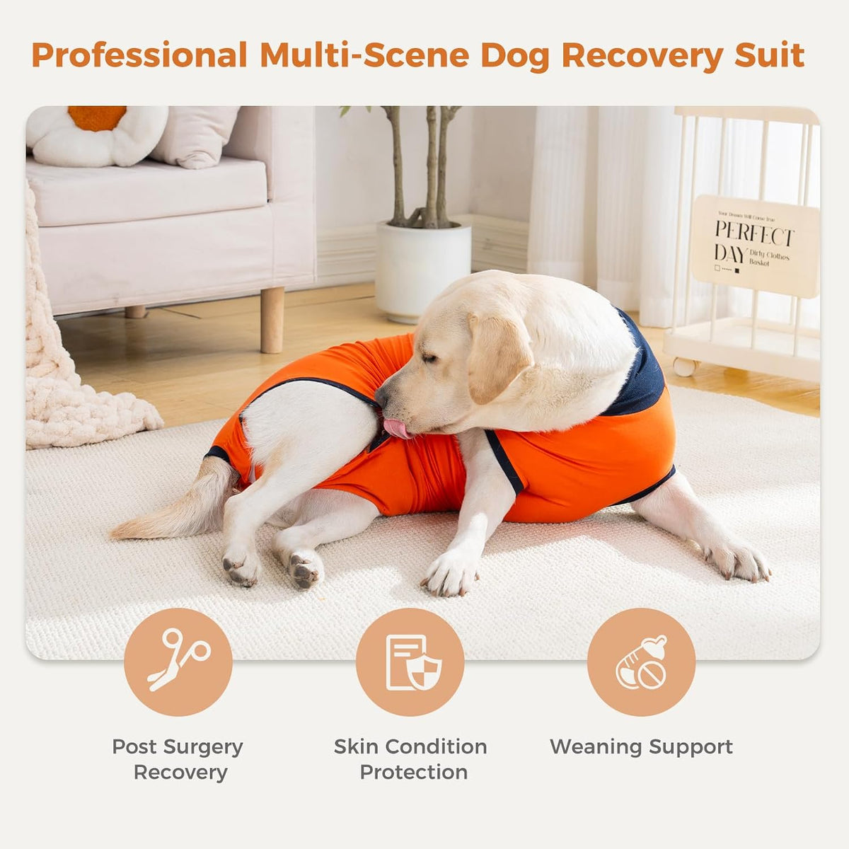 Avont Dog Recovery Suit After Surgery Bundle with Inflatable Dog Cone Collar with Transparent Shield