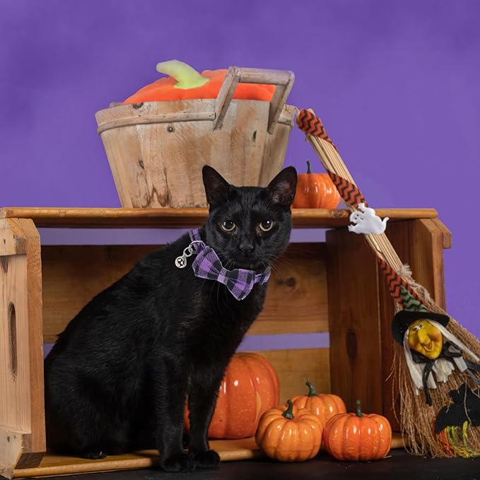 ADOGGYGO Halloween Cat Collars Breakaway - Image 4