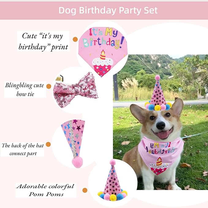 Pet Birthday Party Set with Hat and Bandana - Image 3
