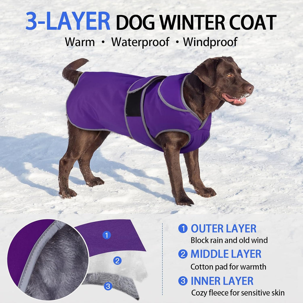 MIGOHI Warm Dog Coat Waterproof Winter Dog Jacket, M, Purple