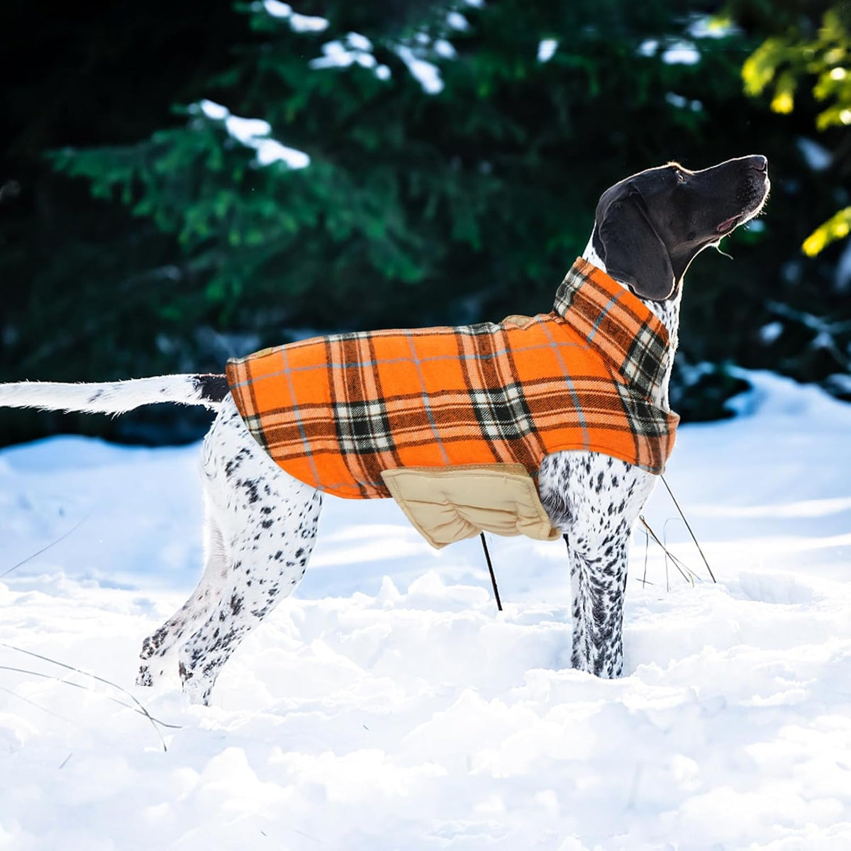 Kuoser Waterproof Dog Coat, Warm Reversible Dog Jacket with Leash Hole
