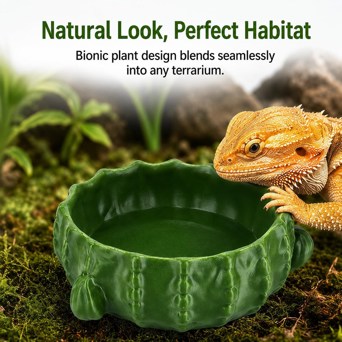 3.58IN-Bionic Plant Reptile Feeding Tray – Gecko Food Dish and Reptile Water Dish, Bearded DragonTank Accessories, Provide Clutter-Free Terrarium Feeding, Suitable for Lizards, Snakes, Turtles