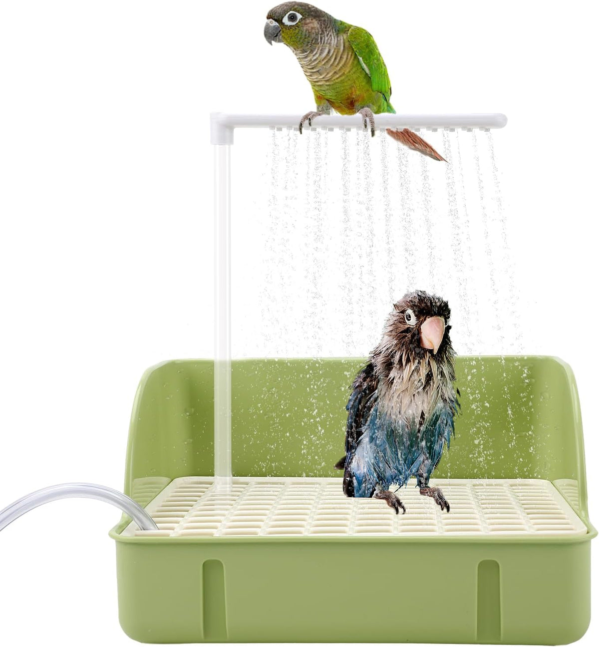 Automatic Bird Bath Fountain, USB Powered Bathtub for Parrots