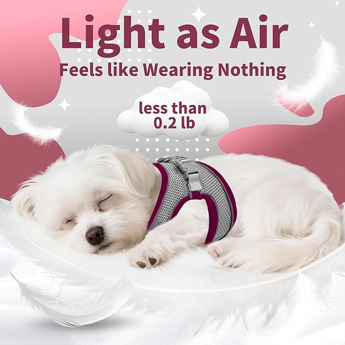 AIITLE Escape Proof Dog Harness - Image 8
