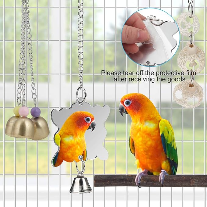 For Parakeet, Love Birds, Parrots - Image 5