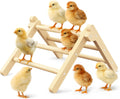 INNOLAND Chick Perch Foldable, Chick Toys Stable & No Assemble