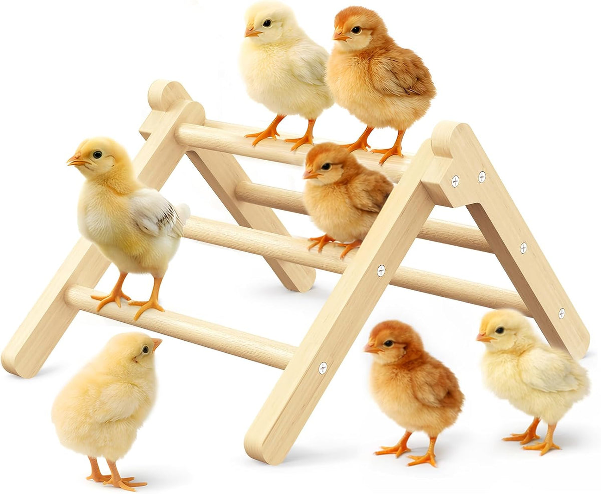 INNOLAND Chick Perch Foldable, Chick Toys Stable & No Assemble