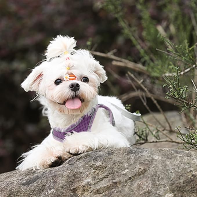 AIITLE Comfortable Dog Harness and Leash Set - Image 7