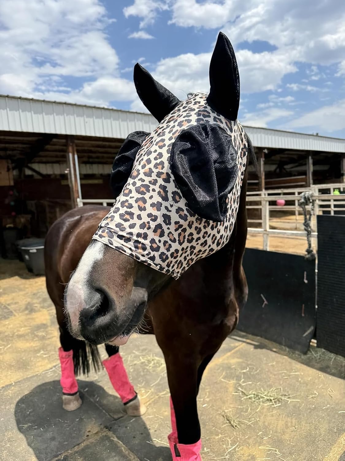 Stretchable UV-Blocking Equine Fly Mask with Moldable Ear Covers, Adjustable Comfort Mesh Straps, Leopard-Pattern Pasture & Trail Protection Perfectly Sized for Full Sized Horses -