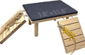 Bearded Dragon Basking Platform with Climbing Ramp & Reptile Rock
