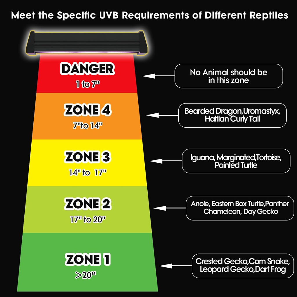 UVB Reptile Light - 4H/8H/12H Timer Auto On/Off - 3 Modes Lighting - 5 Level Brightness - 4W UVA UVB Lamp for Optimal Calcium Metabolism - Desert Tropical Animals Bearded Dragons Turtle Gecko