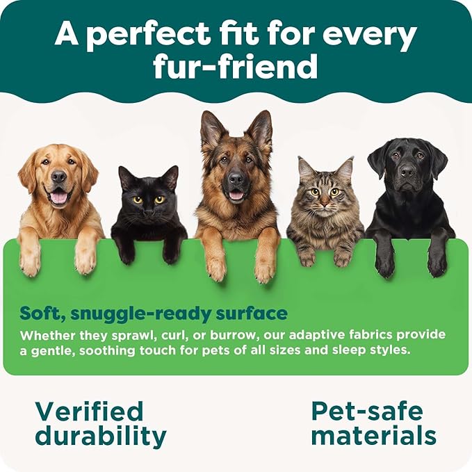 Furhaven Orthopedic Dog Bed for Large/Medium Dogs w/ Removable Bolsters & - Image 8