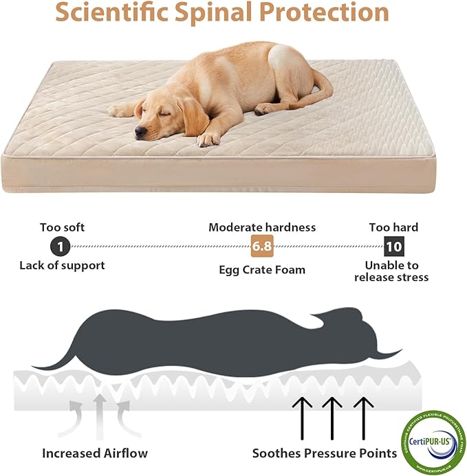 WNPETHOME Orthopedic XL Dog Beds Large Sized Dog, Waterproof Extra Large Dogs - Image 3