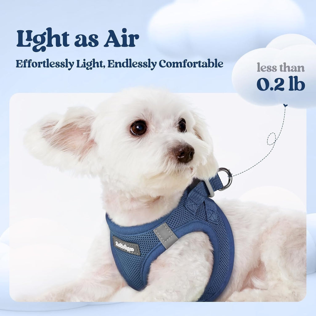 rabbitgoo Dog Harness Small Sized and Leash Set, Step-in Puppy Pet Vest