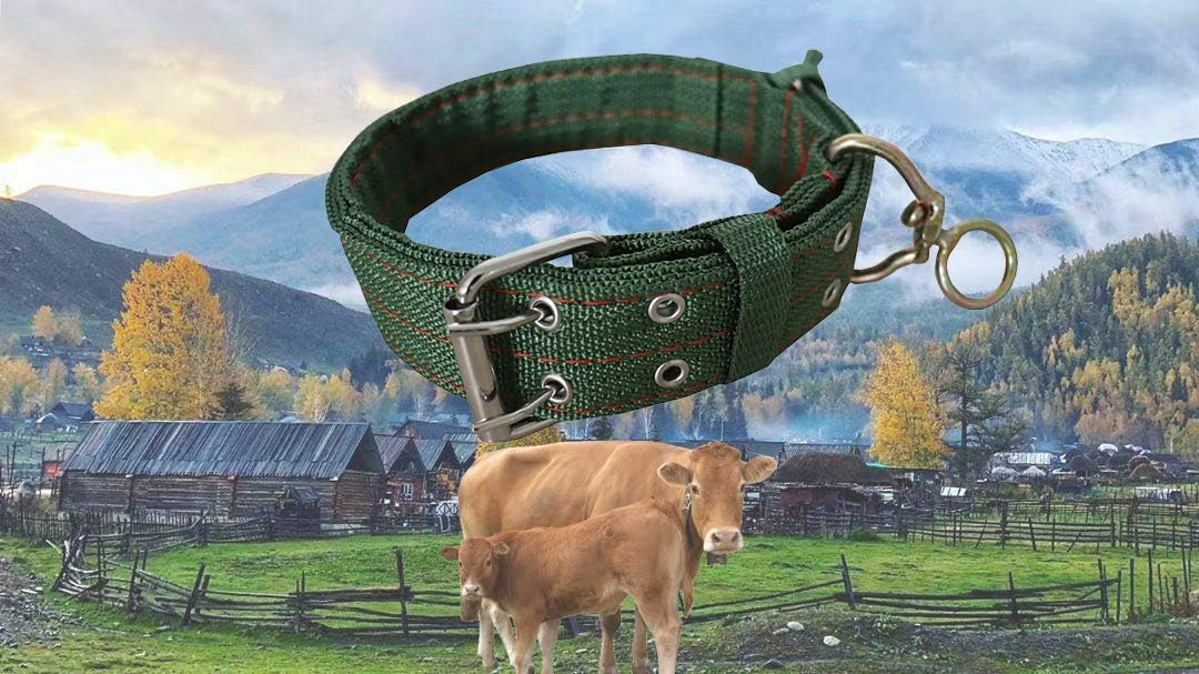 Adjustable Four-Layer Nylon Thickened Cow Collar with 2-Rows Metal Buckle and Traction Chain for Horse, Sheep, Cattle, Dog, Camel (28.7inch)