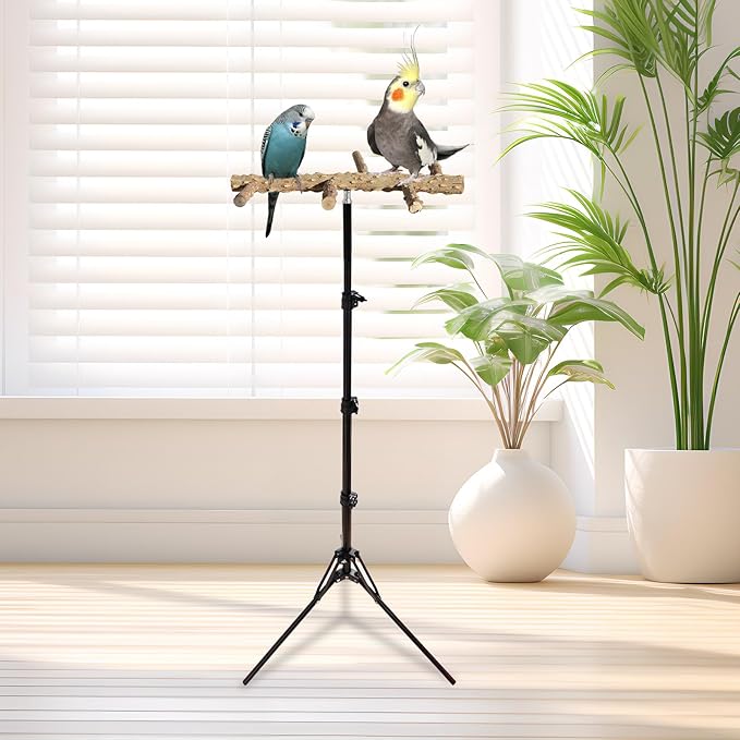 Wooden Bird Perch Stand with a Height Adjustable Tripod, Bird Training - Image 6