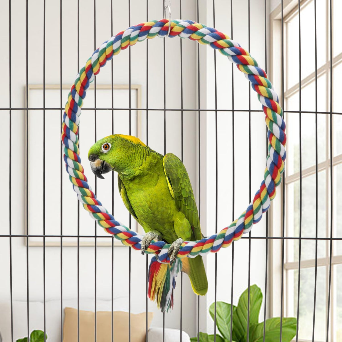 Wontee Bird Swing Colorful Rope Perch Climbing Toy for Parrots (M 10.4inch)
