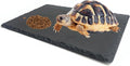 SHIGATSU 7.8"x11.8" Slate Reptile Basking Platform for Turtle Lizard