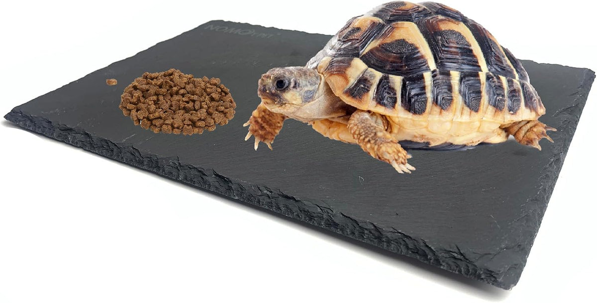 SHIGATSU 7.8"x11.8" Slate Reptile Basking Platform for Turtle Lizard