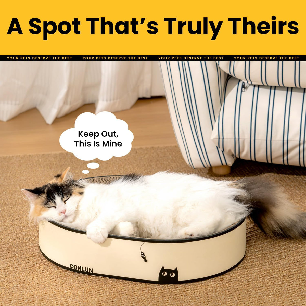 Conlun Oval Cat Scratcher Bed | Scratching Bowl Lounge for Kittens | Medium