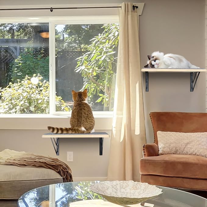 Burlywood Cat Furniture Indoor Set of 2: Wood Shelves - Image 6