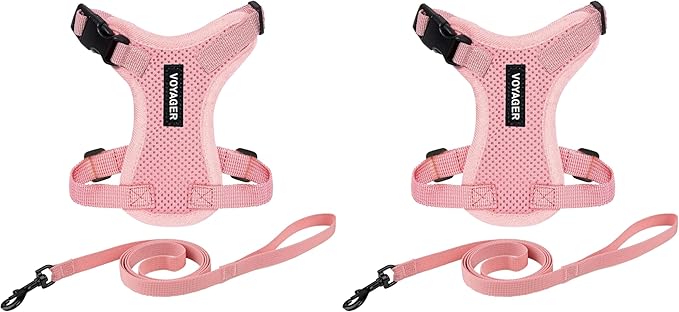 Voyager Step-in Lock Adjustable Cat Harness w. Cat Leash Combo Set by BestPetSuppliesLLC