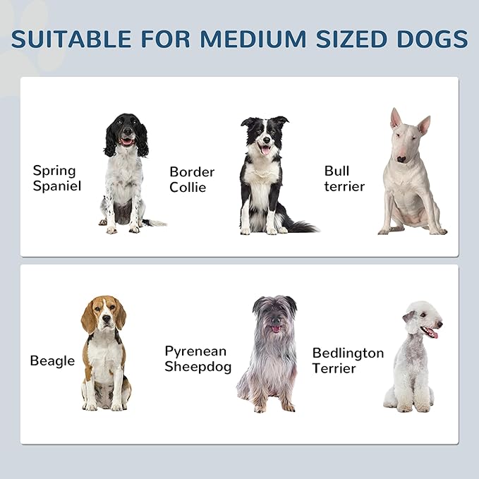 PawHut Pet Feeding Station, Elevated Dog Bowls, Dog Food Storage Cabinet - Image 4
