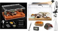 PC Small Reptile Terrarium Starter Kit,Magnetic Jumping Spider Enclosure
