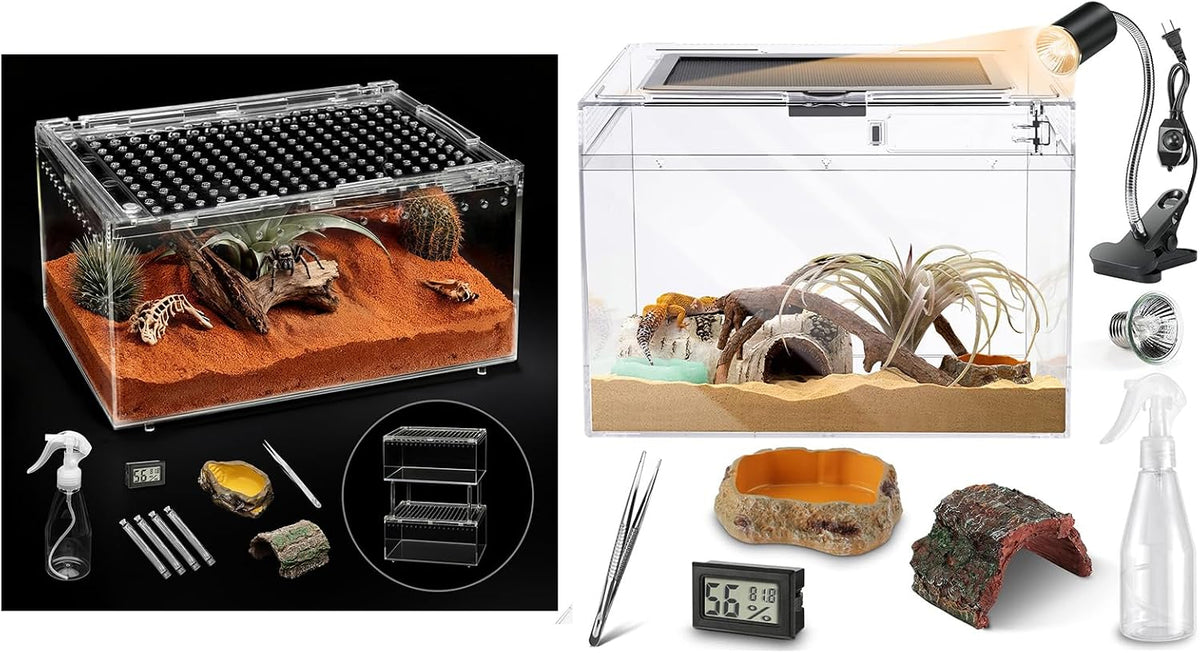 PC Small Reptile Terrarium Starter Kit,Magnetic Jumping Spider Enclosure
