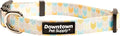 Downtown Pet Supply by DowntownPetSupply