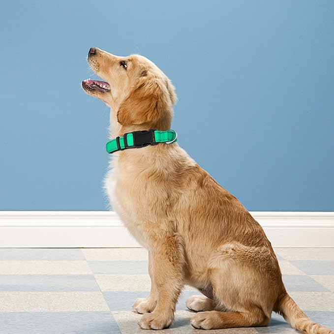 Reflective Dog Collar, Adjustable Soft Neoprene Padded Nylon Pet Collars - Image 2
