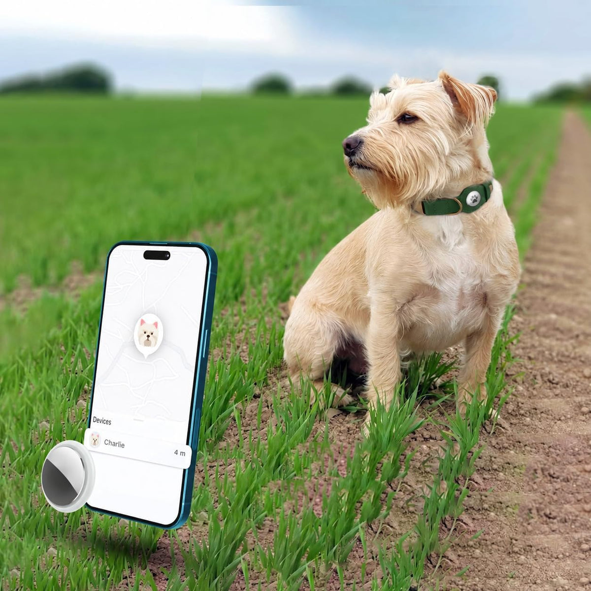 Dog Collar with AirTag Holder - Genuine Leather Dog Collar with Metal Buckle and Compatible with Air Tag - Smart GPS Tracking Pet Collars (Dark Green, S, 12"-15" Neck Fit)