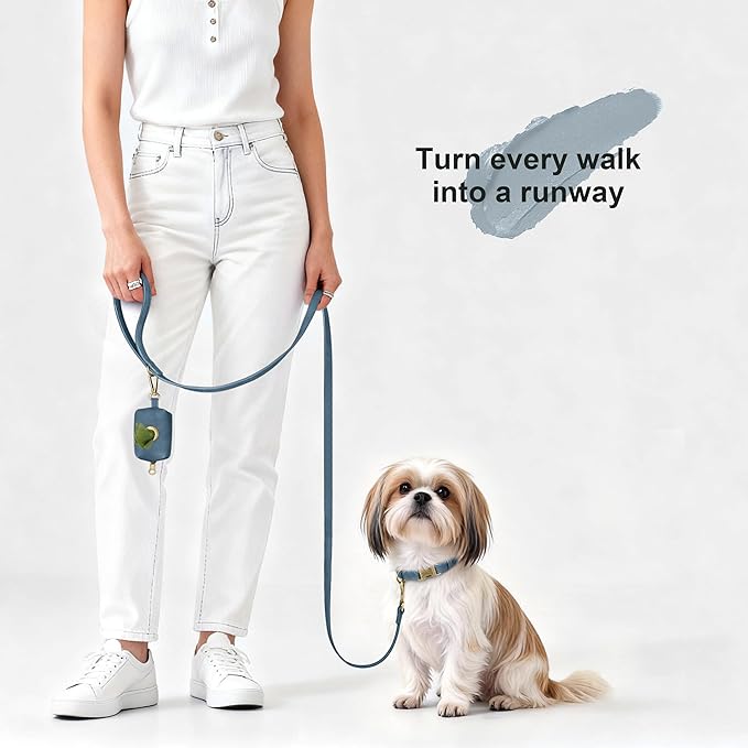 Didog Soft PU Leather Dog Collar, Stylish Quick Released Dog Collars - Image 4