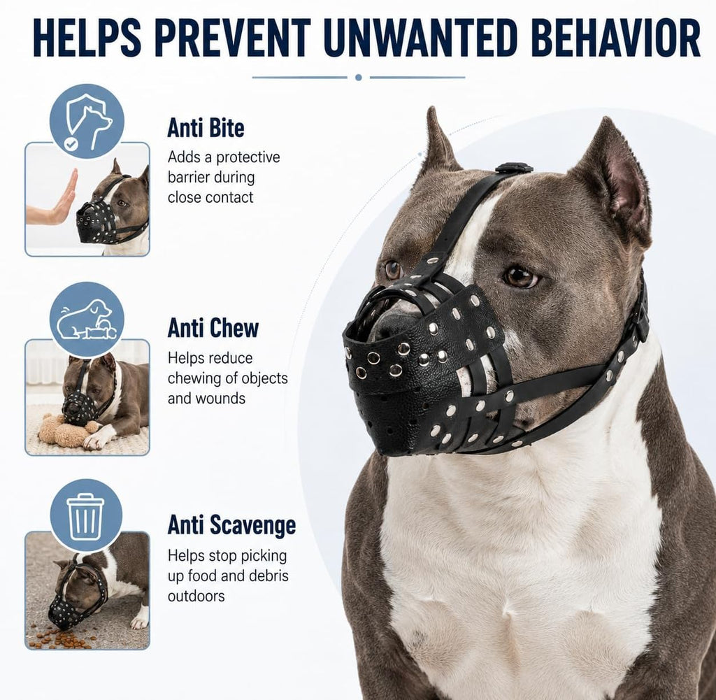 Pitbull Muzzle for Large Dogs, Sturdy Leather Muzzle Anti Biting Scavenging