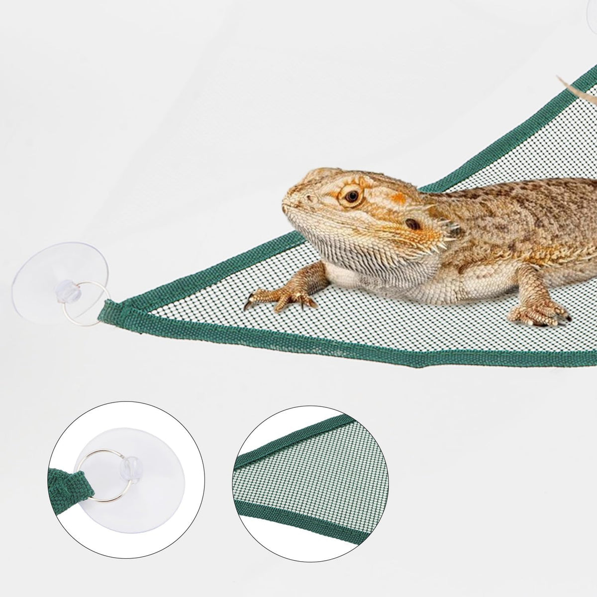Wontee Bearded Dragon Hammock Reptile Lizard Hammock Lounger Bearded Dragon Tank Decor for Bearded Dragons Axolotls Geckos Lizards, 2 Hammock, 1 Hat (Green)