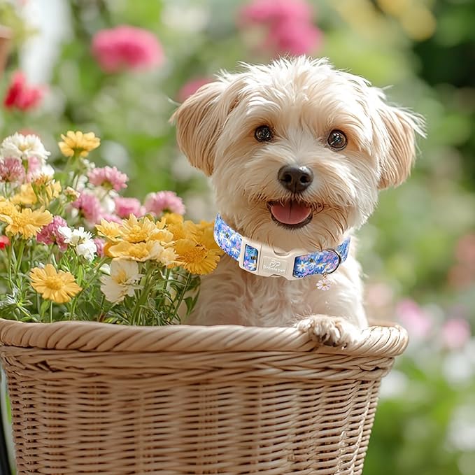 Floral Dog Collar for Small Dogs - Image 6