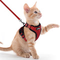 rabbitgoo Cat Harness and Leash by rabbitgoo