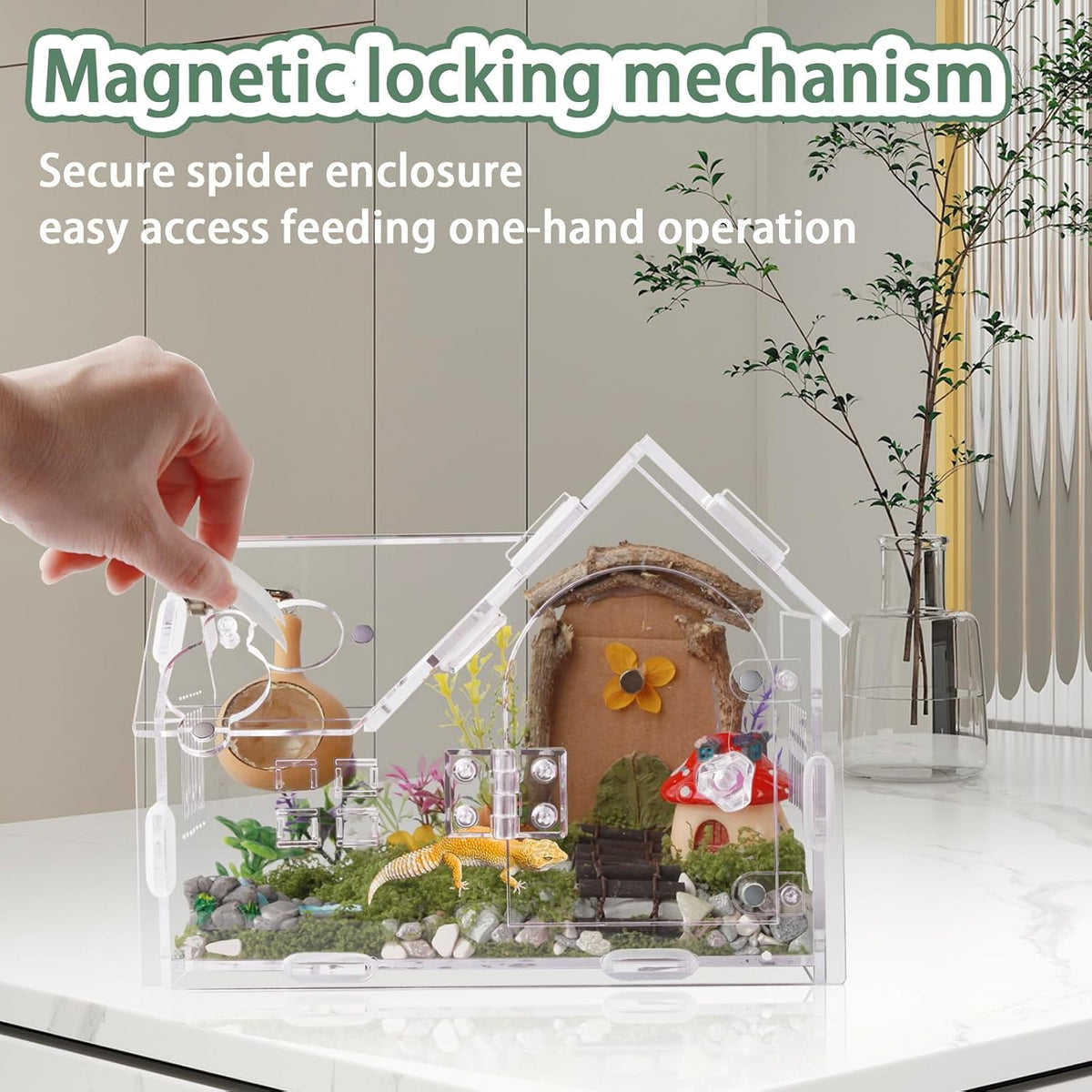 Acrylic Jumping Spider Enclosure House-Shaped Terrarium