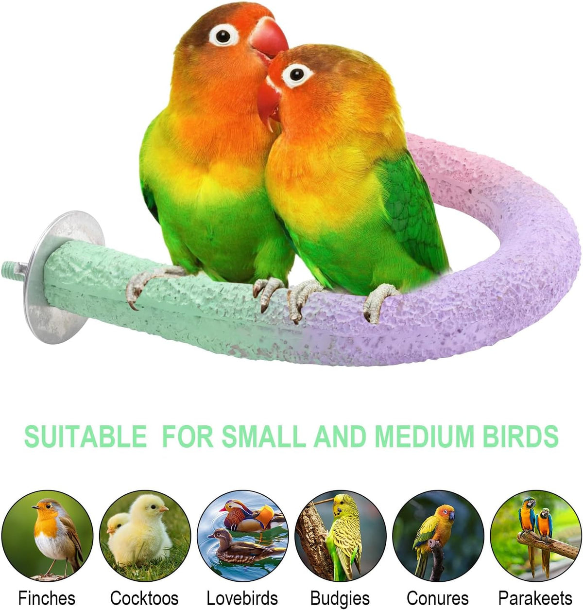 U Shape Parrot Perch Cage for 4cm Large Pad Fits Bird perches
