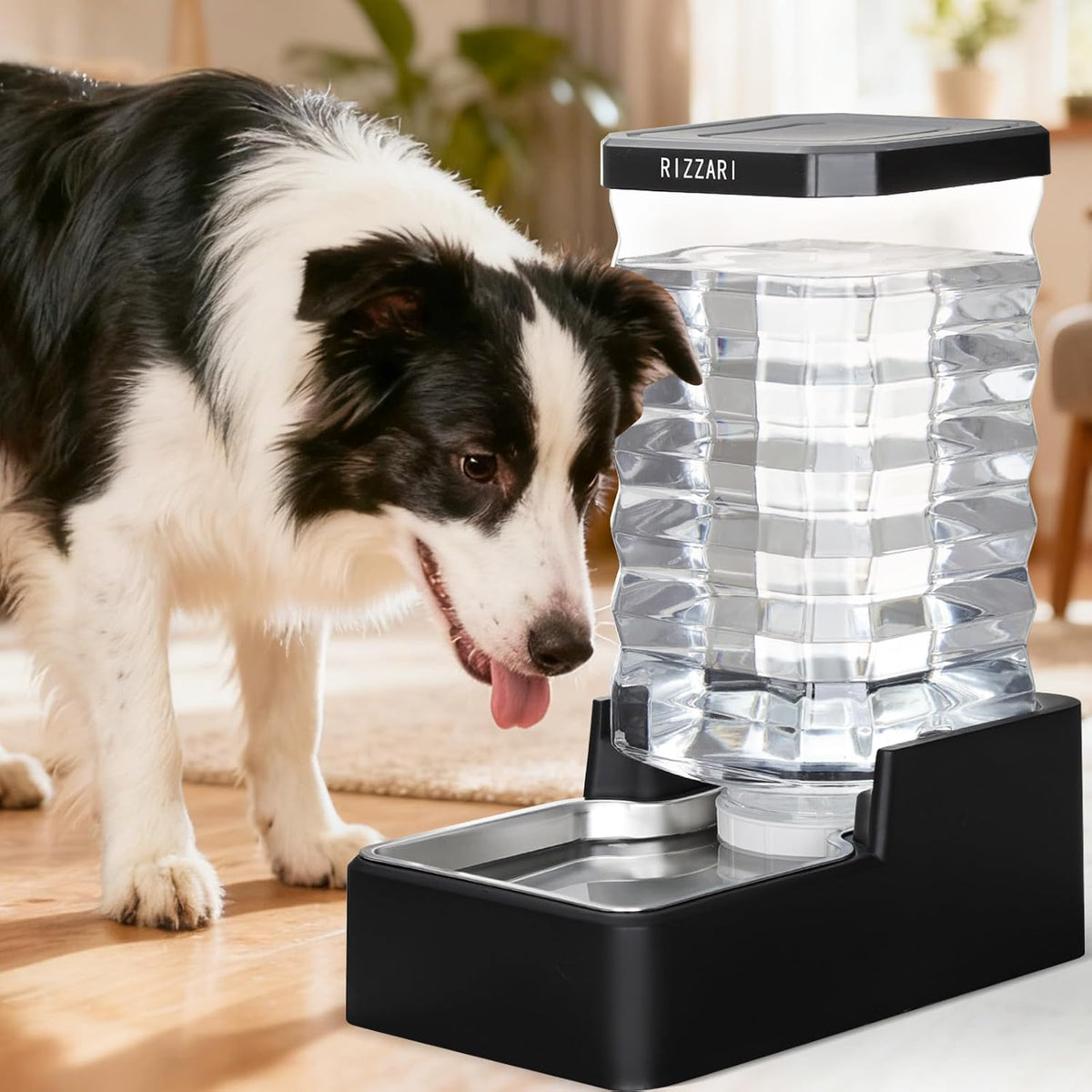 RIZZARI 2.4Gallon Automatic Dog Water Dispenser: Stainless Steel Bowl