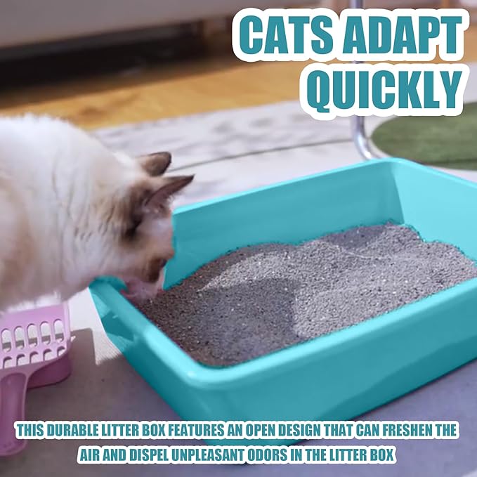Small Litter Box, Plastic Kitten Litter Box, 13.9 x 9.8 x 3 Inch Open Litter Box - Image 4