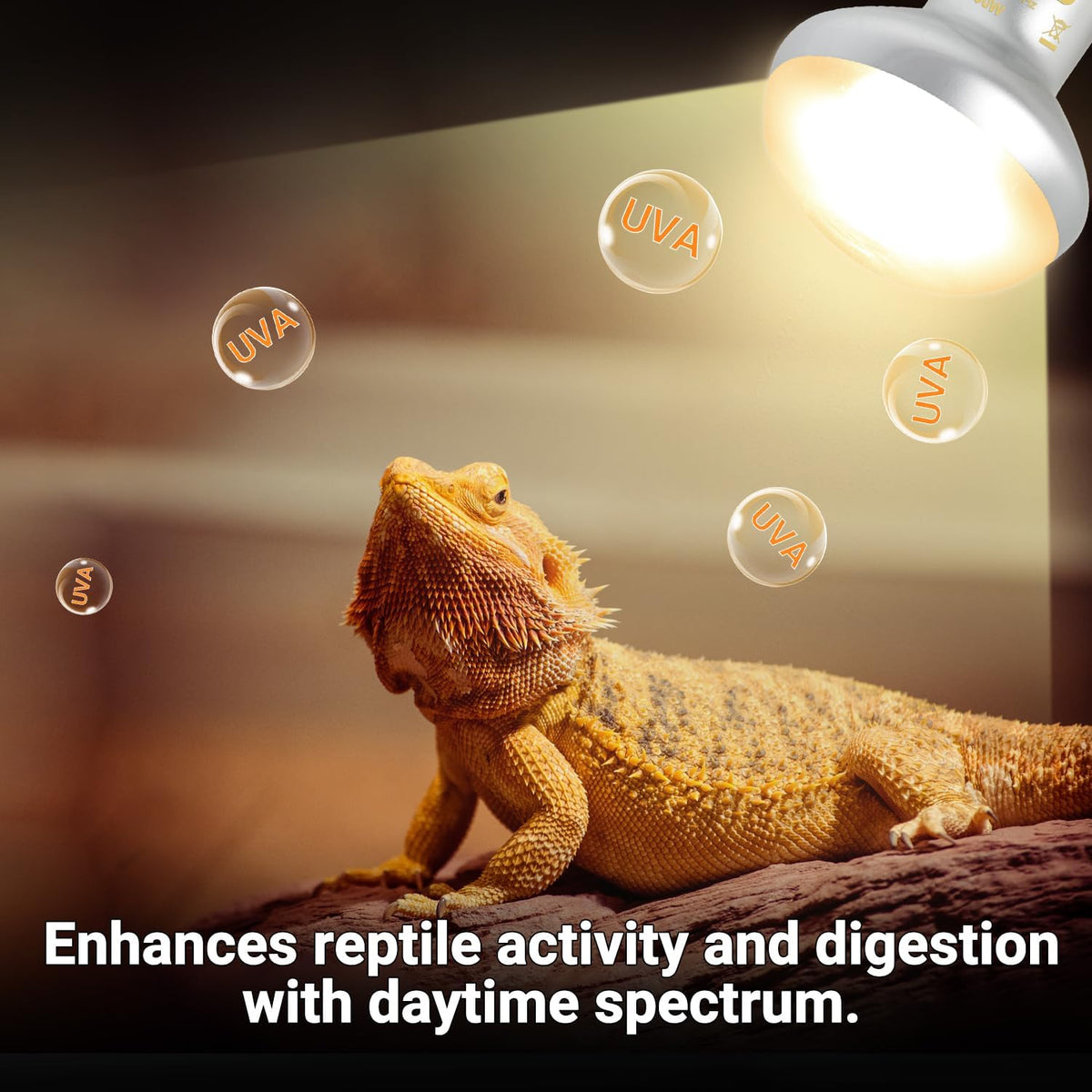 Reptile Heat Lamp Blub Combo Pack, Dual, Dual Reptile Lamp Fixture with Intense Basking Spot Light UVA Daylight Reptile Heat Lamp & 26W Energy Saving UVA 10.0 UVB Bulb Spiral Compact Bulb