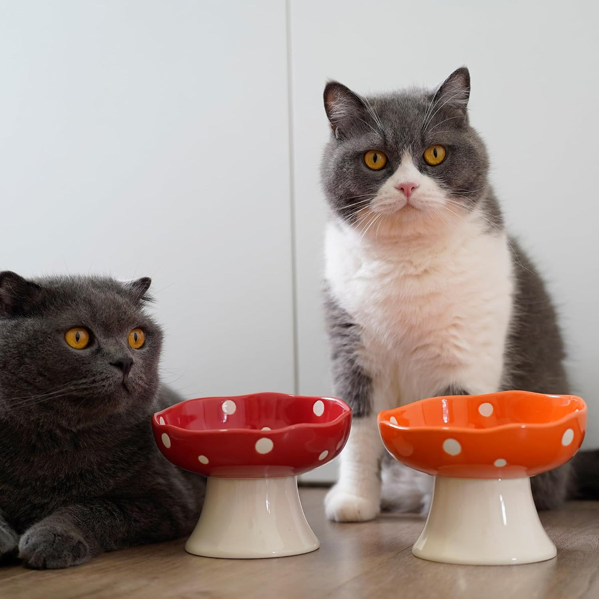 Red Mushroom Cat Bowl, Elevated Ceramic Bowl for Cats