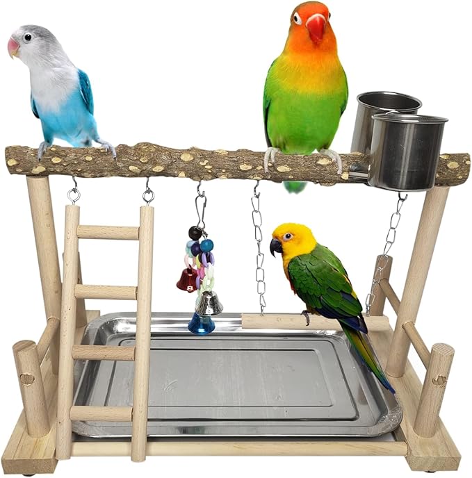 PINVNBY Bird Playground Parrot Playstand Birds Play Stand Wood Exercise Perch by PINVNBY